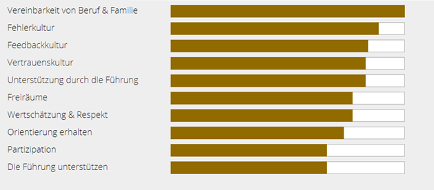 Aspekte der Führung im Motivationsprofil