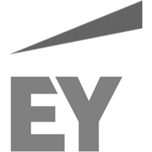 ernst young