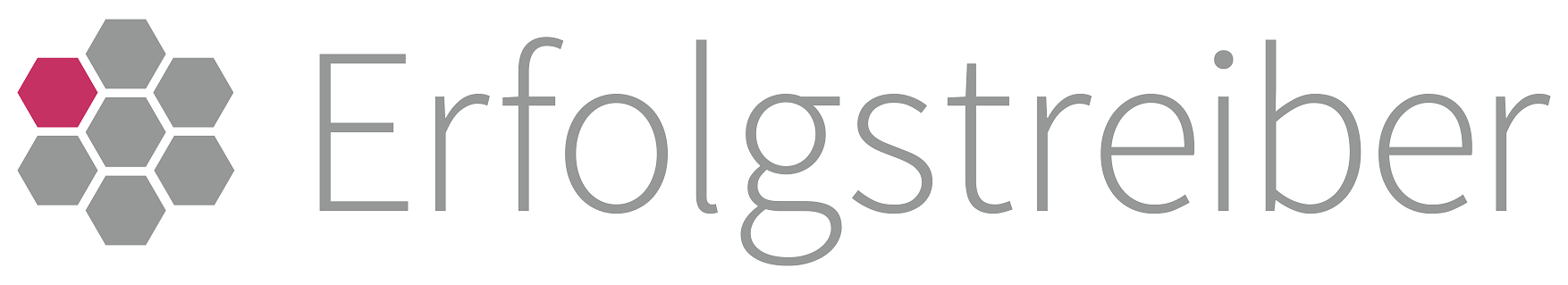 Logo Erfolgstreiber Logo Erfolgstreiber